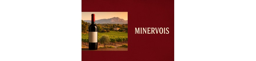 🍷 Minervois – southern reds, 24h delivery Belgium