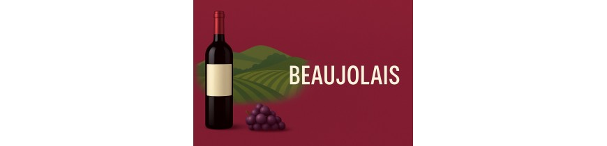 🍷 Beaujolais – Villages & Crus (Morgon, Fleurie, Moulin-à-Vent) – België